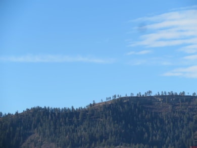 4086 County Road 700, Pagosa Springs, CO 81147 - photo 7