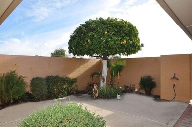 Patio