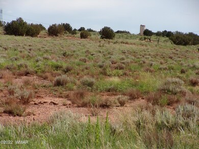 Valley Road 005