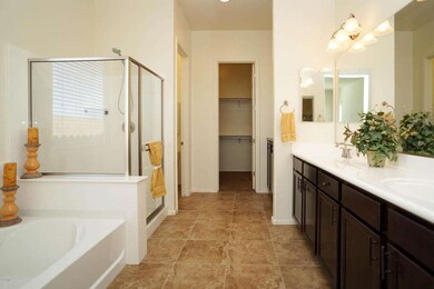 Beautiful Master Bath