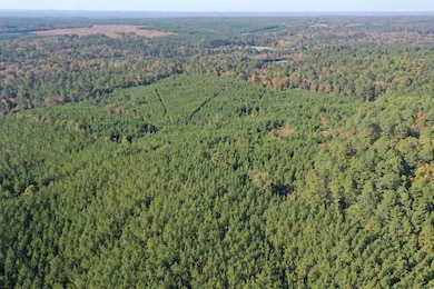 Dyerock Rd, Donaldson, AR 72104 - photo 6