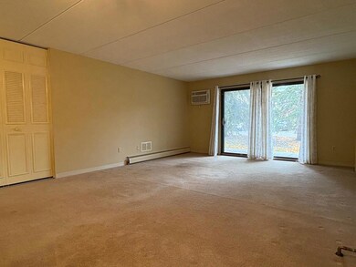 Unit 215 Living room.jpeg