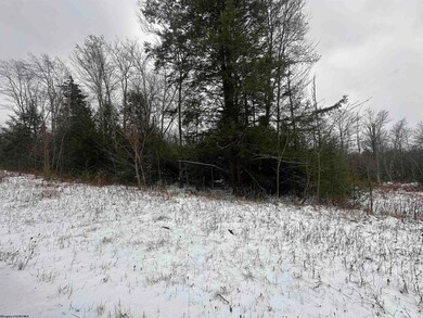Lot 85 Gondola Ct, Davis, WV 26260 - photo 4