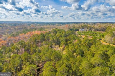 3681 Luther Adams Rd NW, Monroe, GA 30656 - photo 3