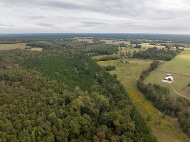 000 Easement unit Goff Rd, Quitman, AR 72131 - photo 7