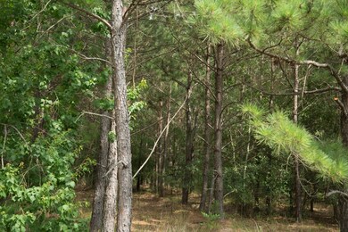 000 Fm 2090, Conroe, TX 77306 - photo 7