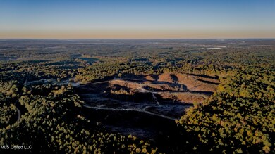 0 Mississippi 440, West, MS 39192 - photo 4