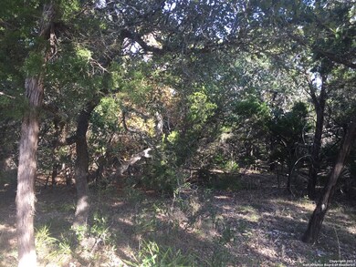 25106 Miranda Ridge, Fair Oaks, TX 78006 - photo 3