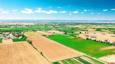 TBD Iris Rd, Austin, CO 81410 - photo 6