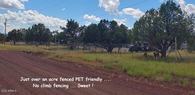 1536 N Yavapai Blvd, Ash Fork, AZ 86320 - photo 3