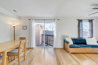 306 Tappan St unit E, Brookline, MA 02445 - photo 7