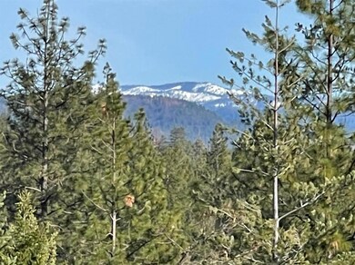 view of mountain backdrop with a heavily wooded area