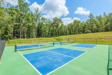 Clearwater Preserve pickleball courts