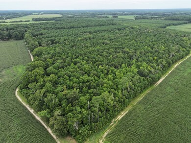 0 Fox Grove Rd, Parksley, VA 23421 - photo 7