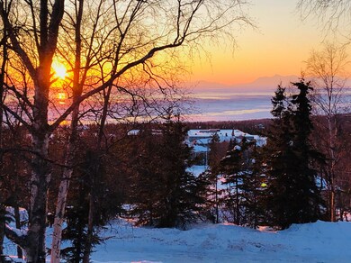 15801 Amberwood Cir, Anchorage, AK 99516 - photo 5