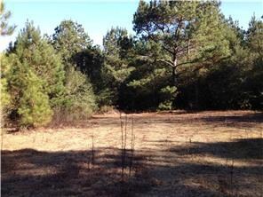 0 Otto Passman Rd, Franklinton, LA 70438 - photo 7