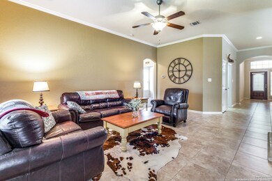 3710 Sweet Olive, San Antonio, TX 78261 - photo 5