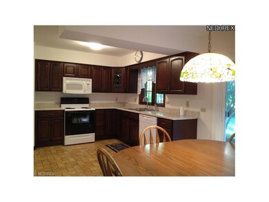 Newly remodeled kitchen: flooring, paint, cabinets