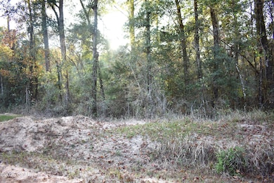 Lot 1 Lakeview Rd, Caryville, FL 32427 - photo 4