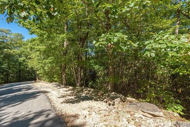 Lot 31 E Ridge Rd, Cashiers, NC 28717 - photo 6