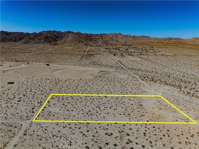 1142 Fran Lou Ln, Joshua Tree, CA 92252 - photo 2