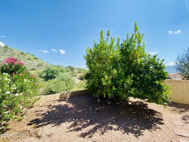 Lemon Fruit Tree