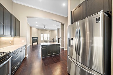The kitchen is a chef's dream, equipped with stain
