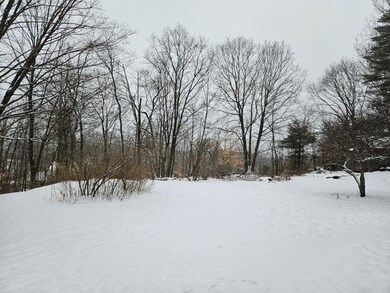 Nice level yard