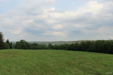 0 Saint Peters Rd unit Lot 4 497715, Andreas, PA 18211 - photo 3