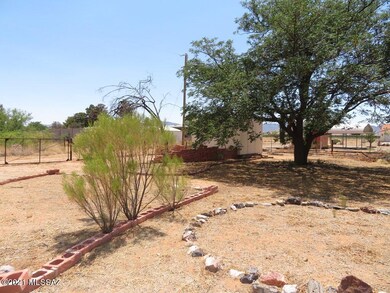 back yard