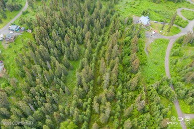 34960 Seabury Ct, Anchor Point, AK 99556 - photo 7