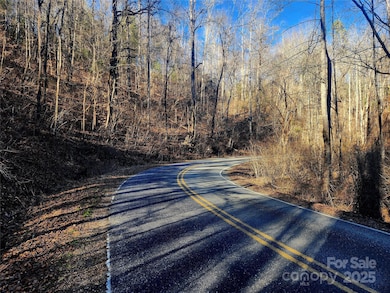 340 Lyle Wilson Rd, Cullowhee, NC 28723 - photo 6