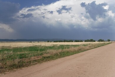4475 W Robbie Ln, Paulden, AZ 86334 - photo 6