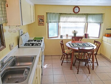 735 W Mohawk Trail, White Cloud, MI 49349 - photo 5