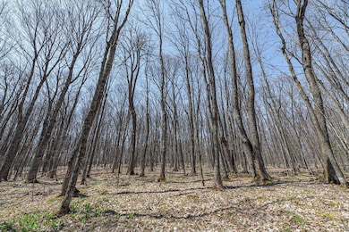 Lots 11-13 Rd, Presque Isle, WI 54557 - photo 5
