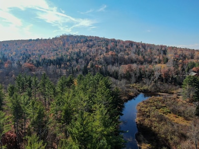 DJI_0538