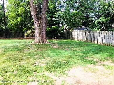 2015 backyard1