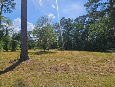 14 Jolly Roger Point, Carriere, MS 39426 - photo 2