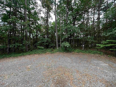 Lot 14 Thompson Cove Ln, Shirley, AR 72153 - photo 2