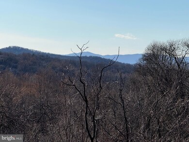 34 Beyond Tomorrow Way, Skyland Estates, VA 22642 - photo 3