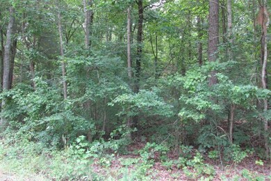 0 Lot 29 Dr unit 20037884, Heber Springs, AR 72543 - photo 5