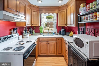 338 Cedar Ave, Holmes, PA 19043 - photo 7