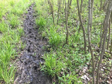 009 Deer Trail