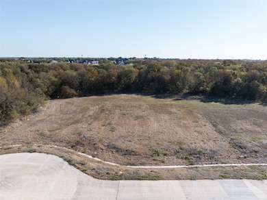 1001 Apollo Ct, Allen, TX 75002 - photo 3