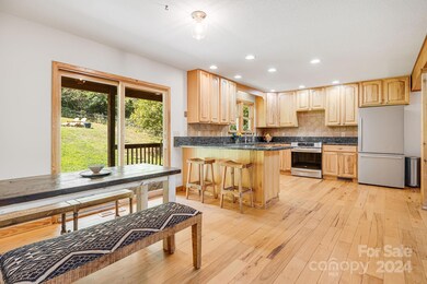 30 Sluder Branch Rd, Leicester, NC 28748 - photo 7