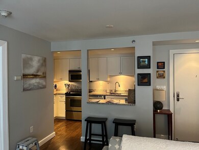 The Grandview unit 605, Boston, MA 02111 - photo 7