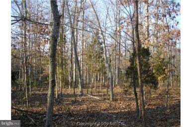 0 Snake Hill Rd, Middleburg, VA 20117 - photo 3