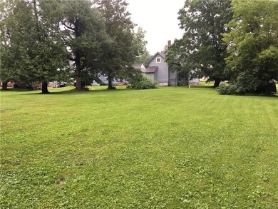 large back yard