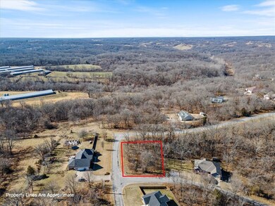 Lot 1 Annabell Ln, Bella Vista, AR 72715 - photo 3