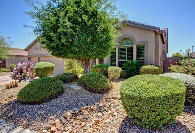 Beautfiful Landscaping